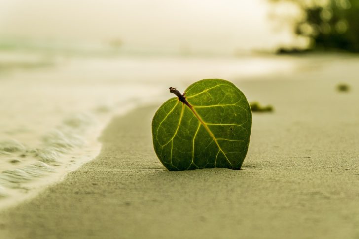blog-image