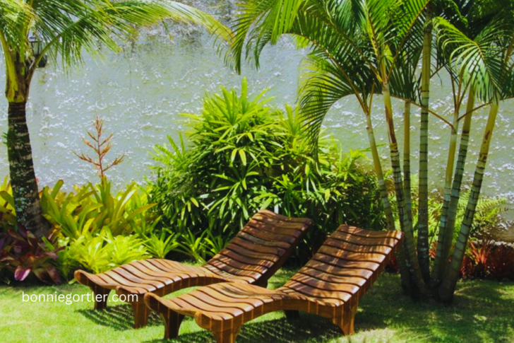 blog-image