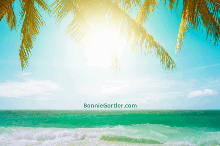 blog-image